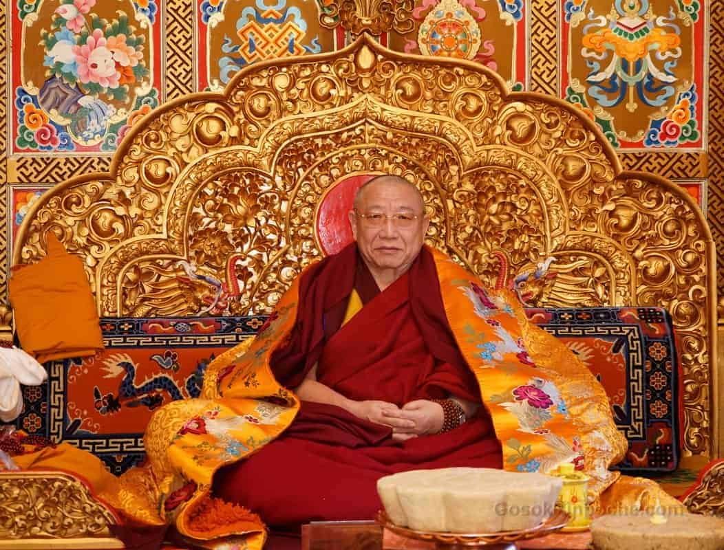 gosok-rinpoche-2015-dsc00108crop