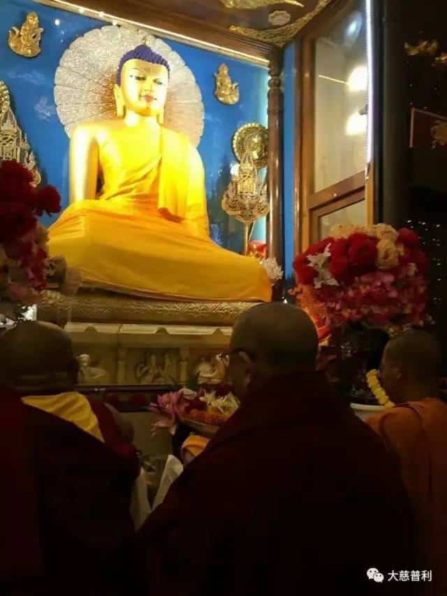 Gosok Rinpoche India 2017 06e8693efa1936b33f4cd0ce787aeab