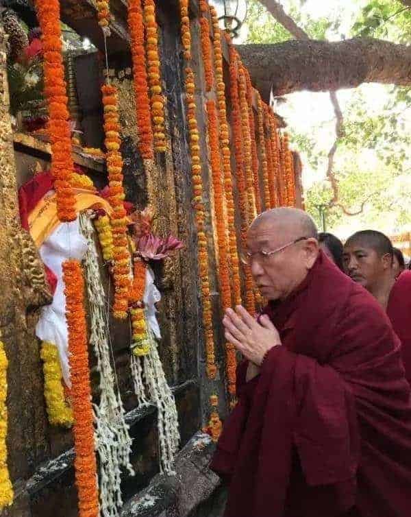 Gosok Rinpoche India 2017 7e5e4c678255fd36c773ed5273980bf