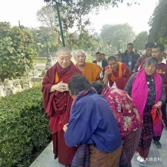 Gosok Rinpoche India 2017 f7c3831d975623a7673e5cda1a0f84f