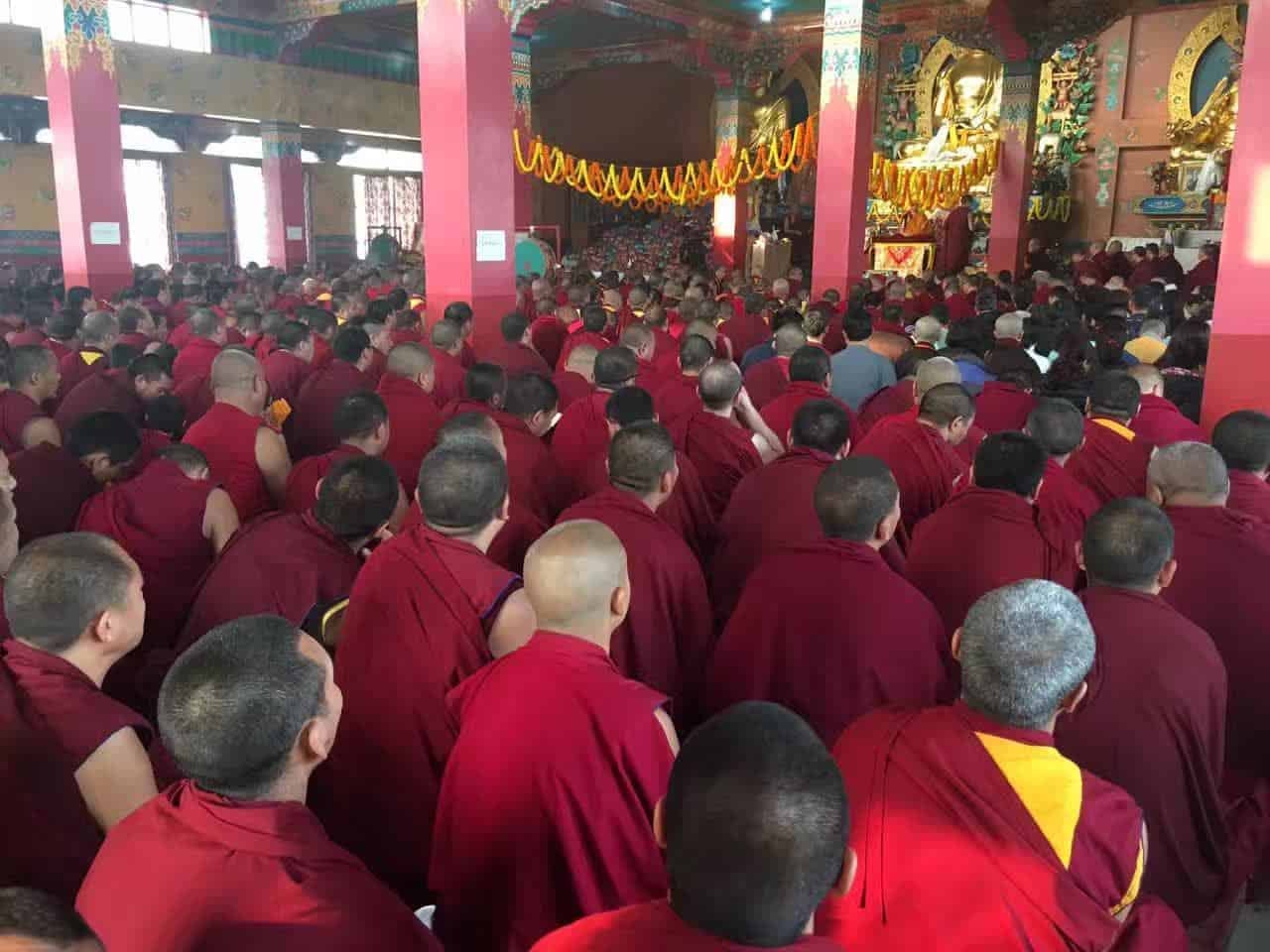 Gosok Rinpoche India 2017 longlife 0642b3f385ec3c12e7050ee2afeac16