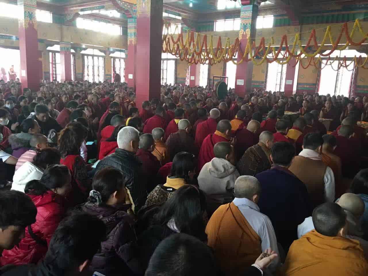 Gosok Rinpoche India 2017 longlife 0899d9ebed3bcec93d11971fab82331