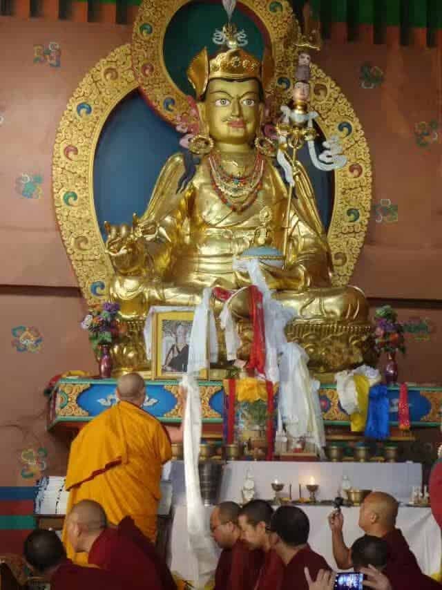 Gosok Rinpoche India 2017 longlife 4b35a37c96d74b44a0a0aaf9ed443cf