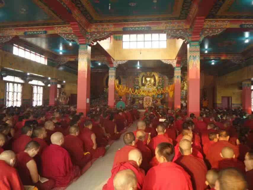 Gosok Rinpoche India 2017 longlife 812426a22ba65ea2cb44f03b750977f
