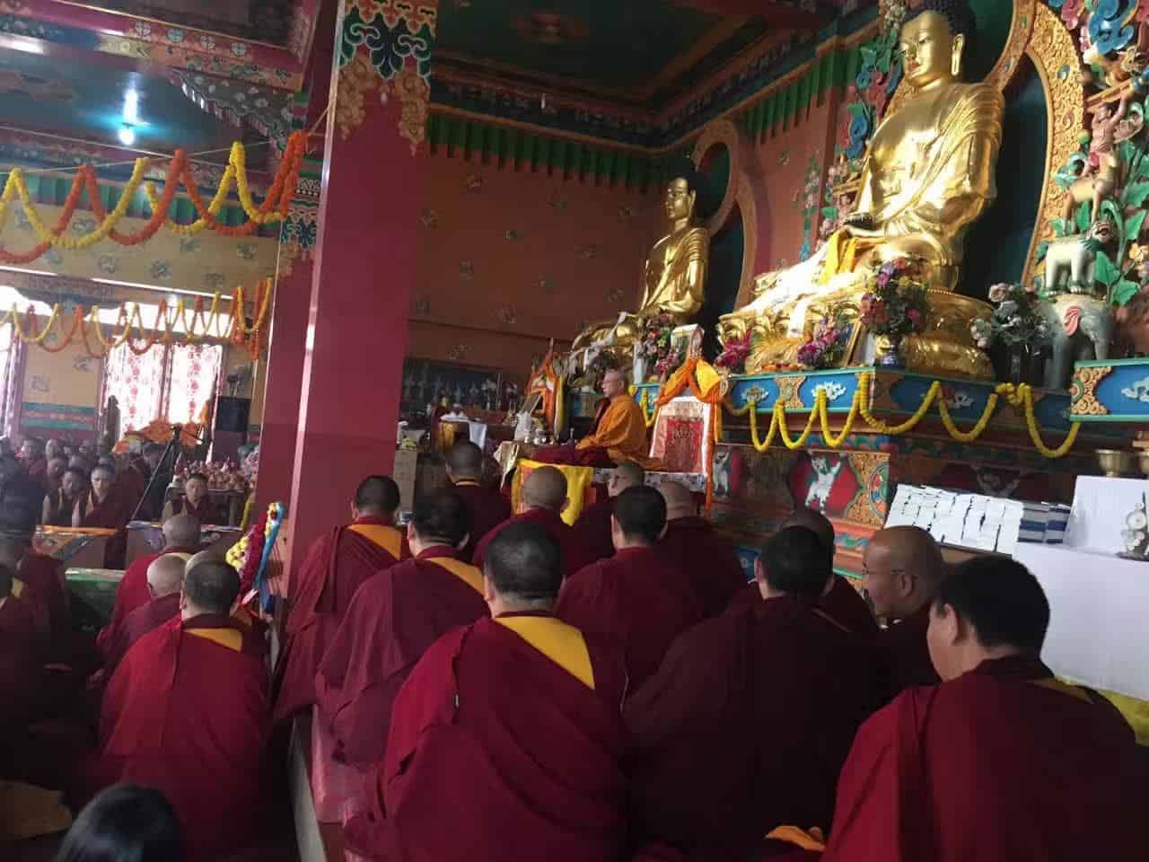 Gosok Rinpoche India 2017 longlife b40d169f99722c63c29fa84a53435e7