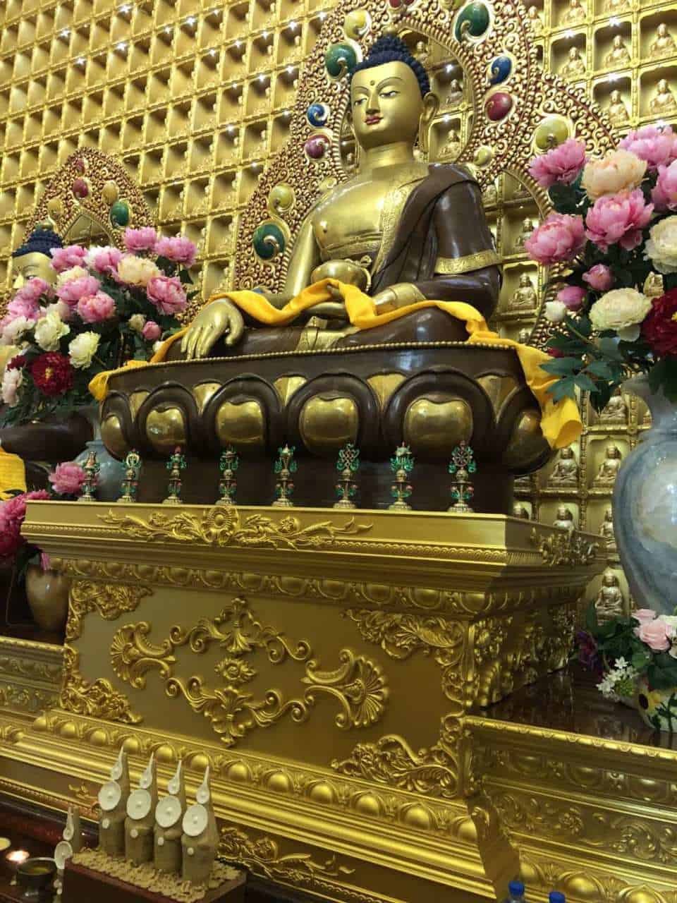 GosokRinpoche New Year 2018 Image_20180217220819