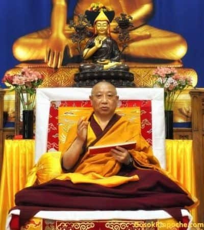 Gosok Rinpoche 2016