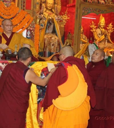 Gosok Rinpoche at Shelkar 2019 532_1