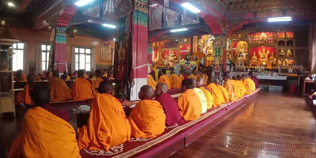 Gosok Rinpoche at Shelkar 2019 537_1
