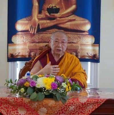 Gosok Rinpoche 3110-600x401