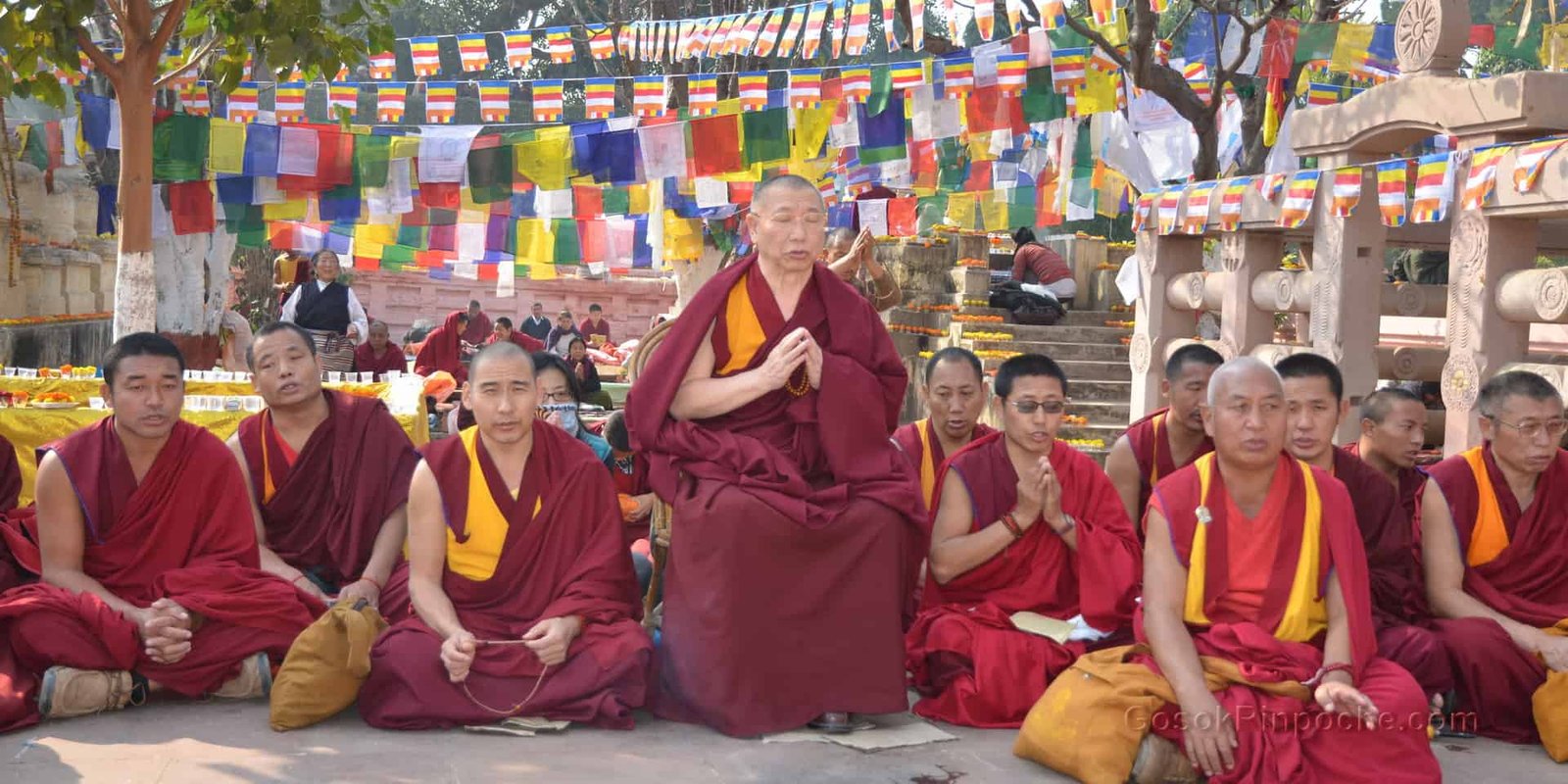 Gosok Rinpoche India 2012 DSC 1264 1920