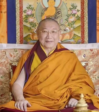 Gosok Rinpoche 20180413102202