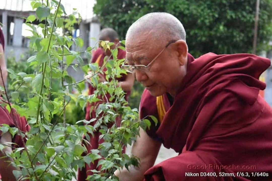 Gosok Rinpoche Nepal 20200615220122