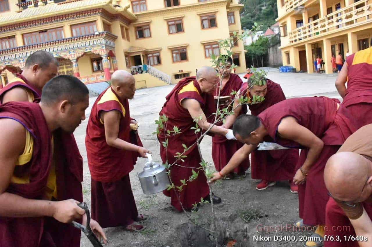 Gosok Rinpoche Nepal 20200615220546