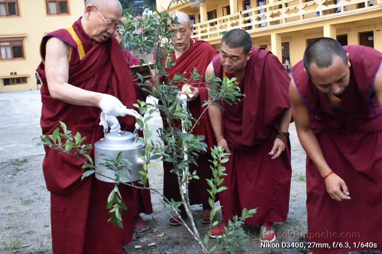 Gosok Rinpoche Nepal 20200615220556