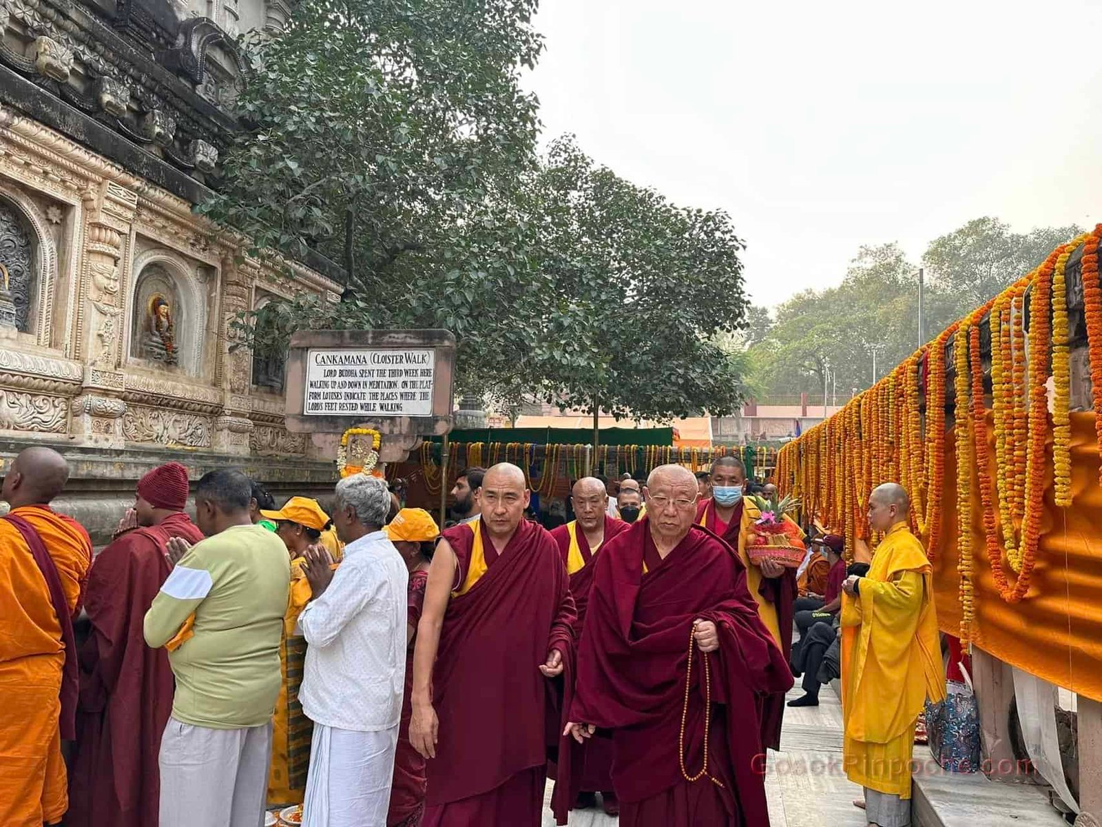 Gosok BodhiGaya 2023 02049