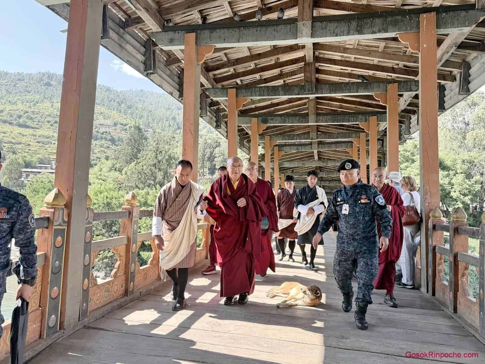 20251109 h001 Gosok Rinpoche in Bhutan 579001442_2887362181455728_3541807647720691205_n