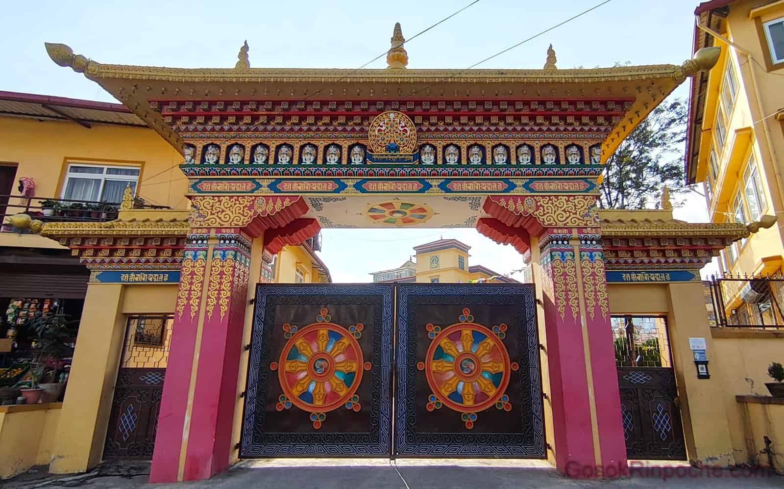 B00-20251116_141155-1