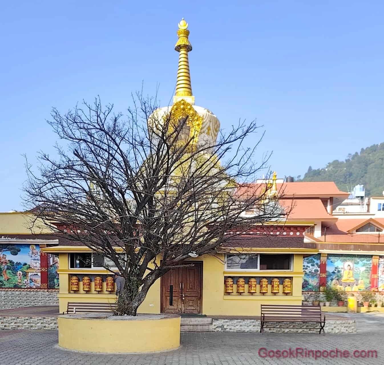 B01-20251116_083927-1