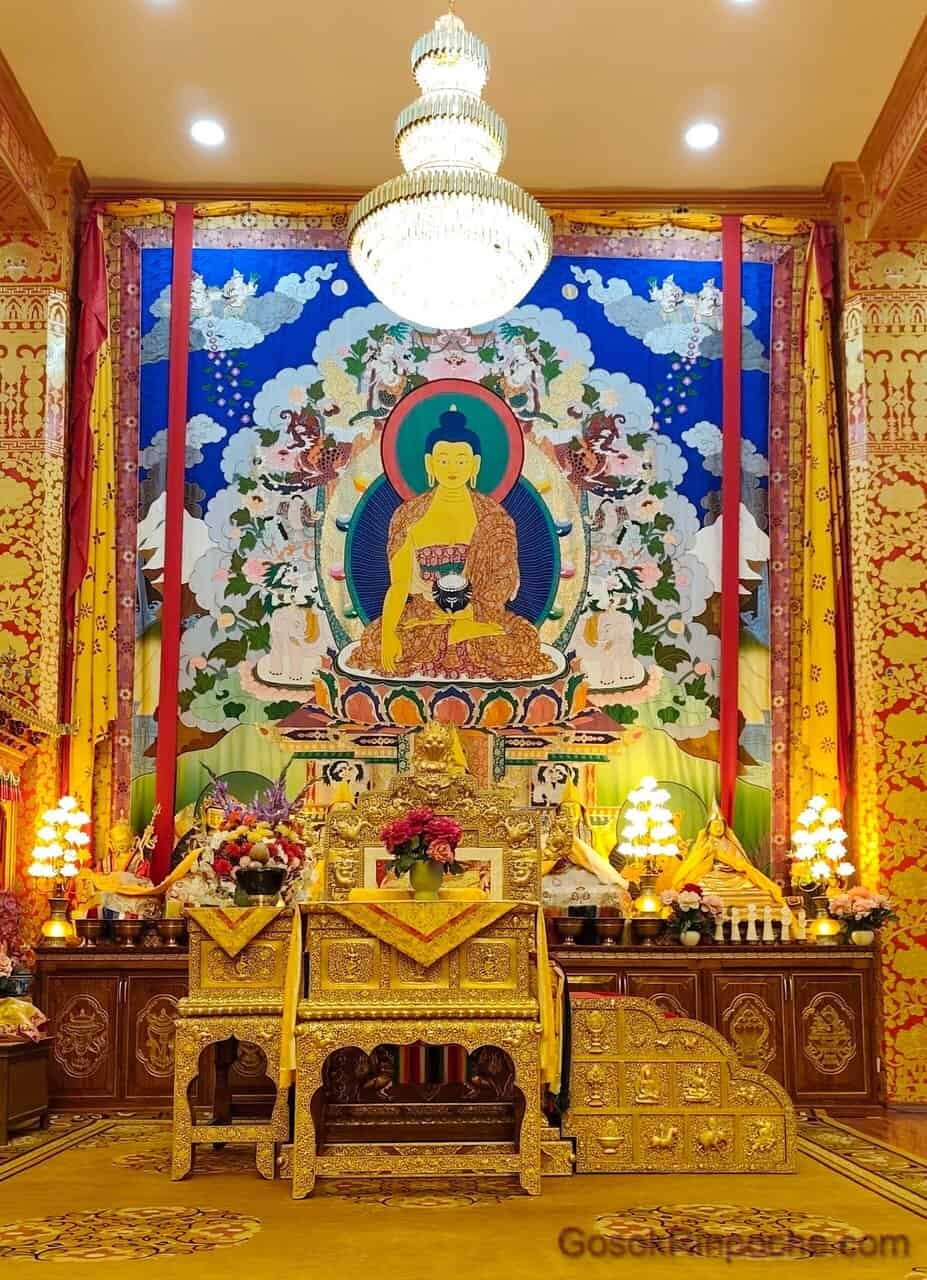 B1d-20251116_095055-1