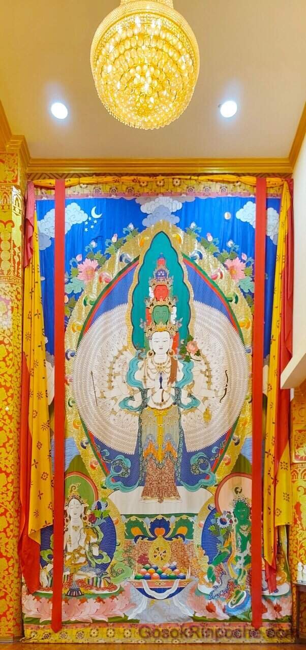 B1d-20251116_095122-1