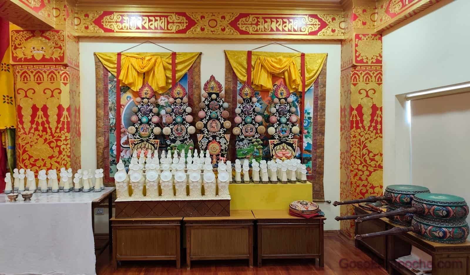 B1d-20251116_095158-1