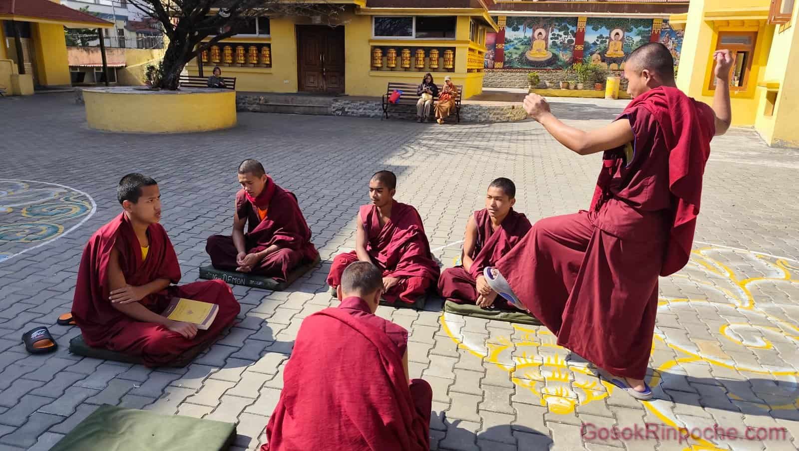 B3D-20251116_113158-1