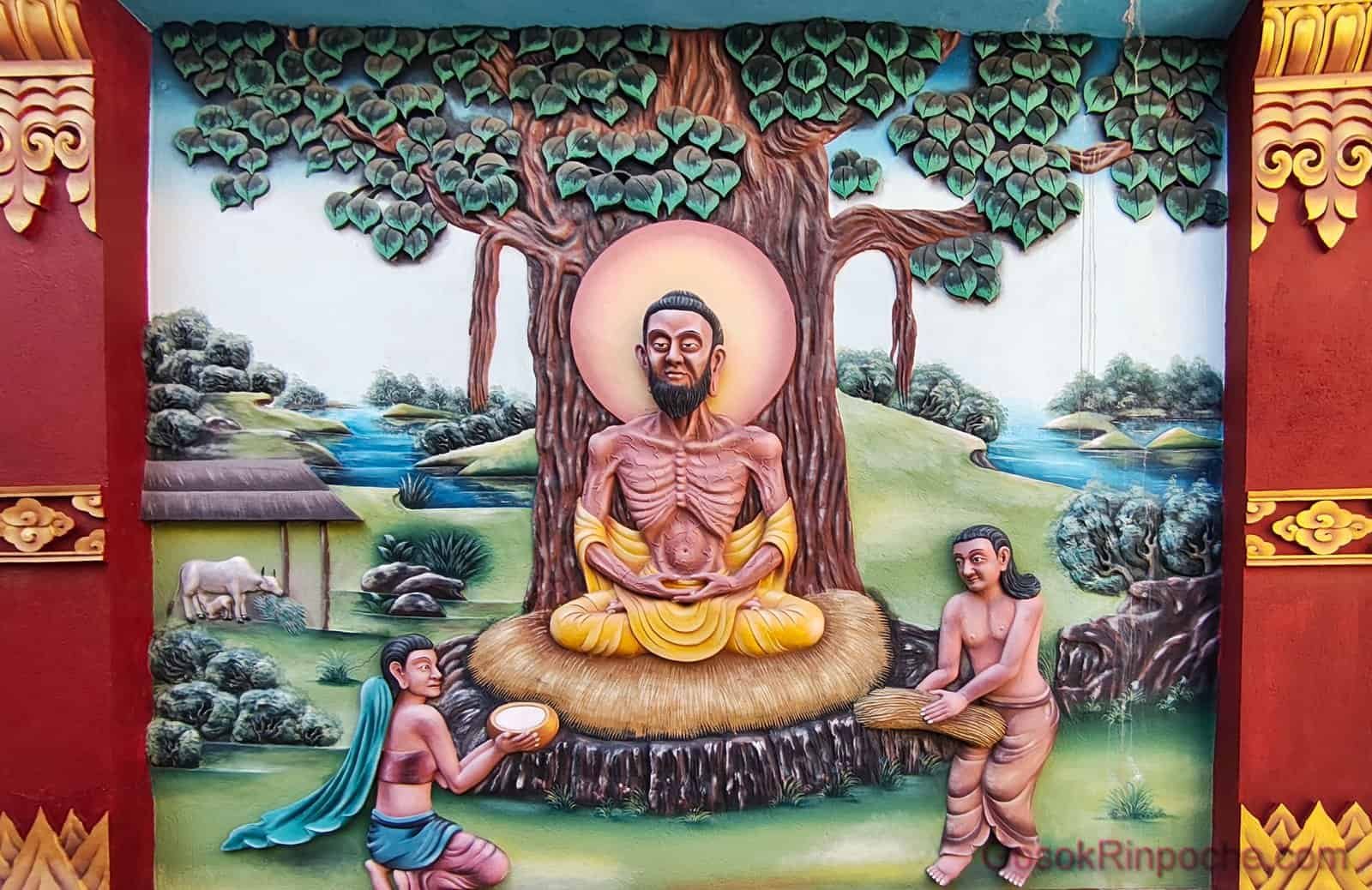 BW-20251116_111647-1