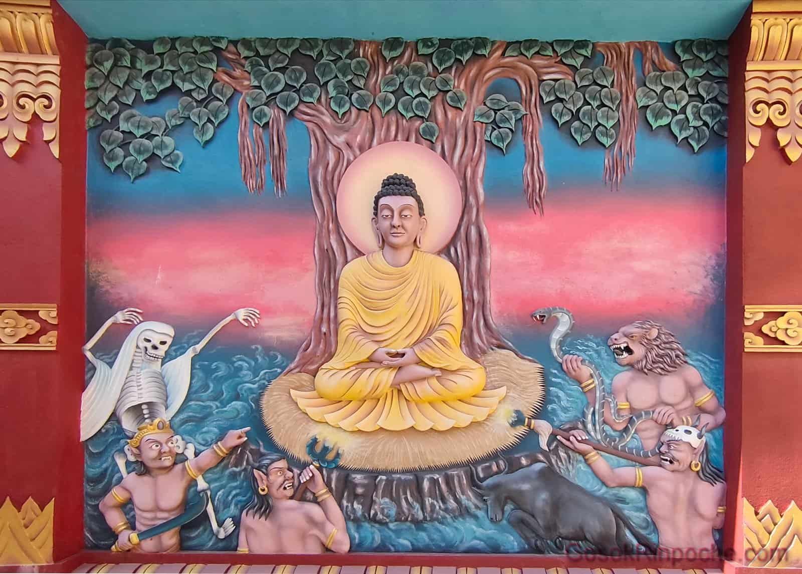 BW-20251116_111659-1