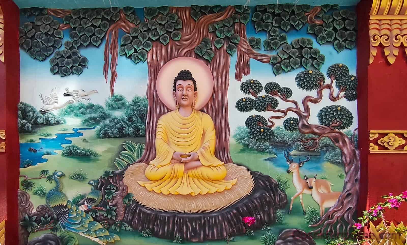 BW-20251116_111716-1