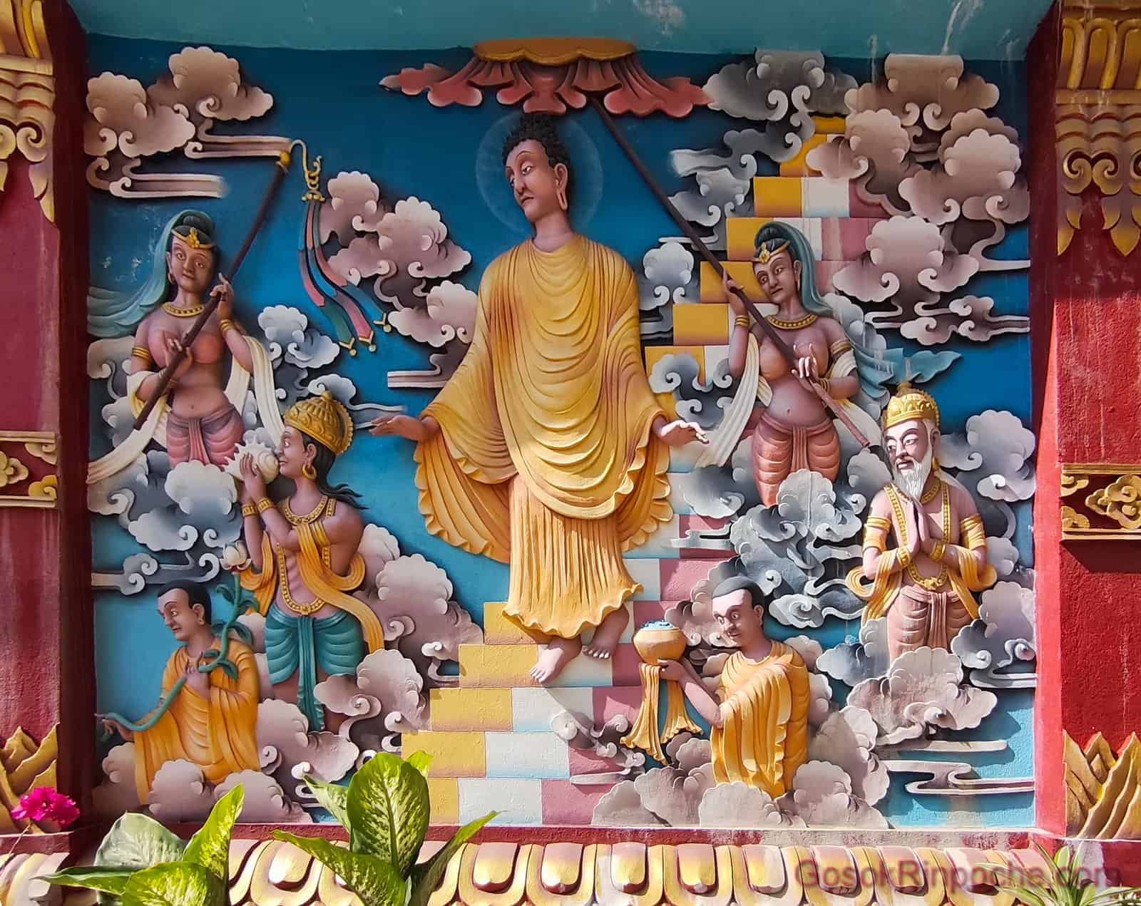 BW-20251116_111749-1