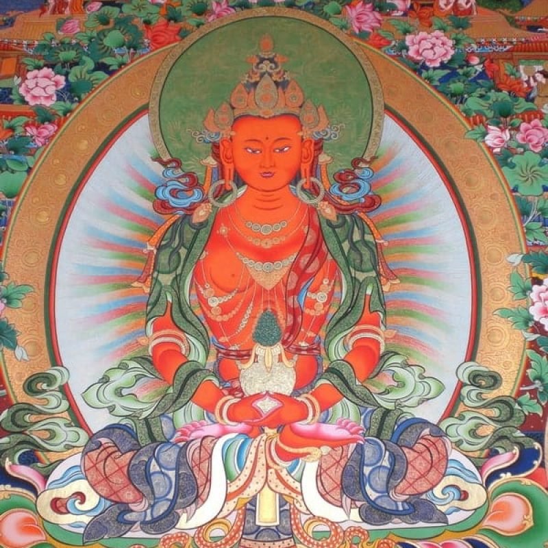 amitayus 644_P_1242864037861