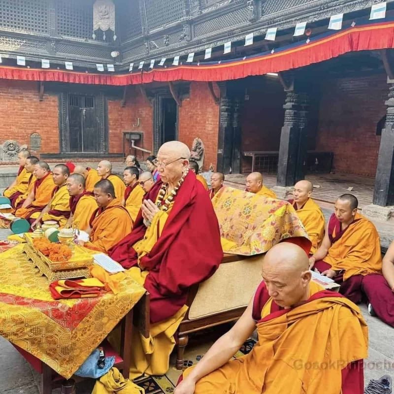 darkini day 2390039938755392490_n